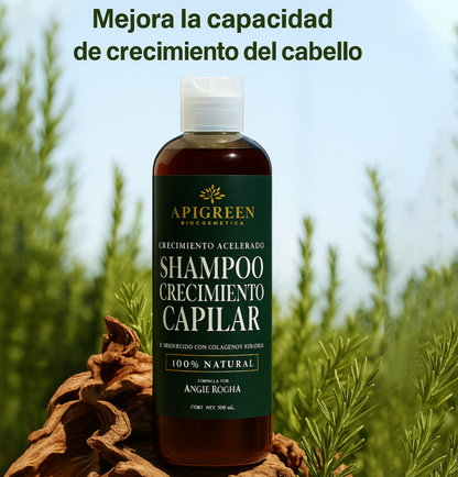 Kit Shampoo de Batana con Extracto de Romero 500 ml + Aceite reparador Adios caída capilar 99.9%efectivo